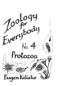 Zoology for Everybody No 4  The Protoza