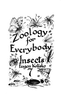 Zoology for Everybody No 7  Insects