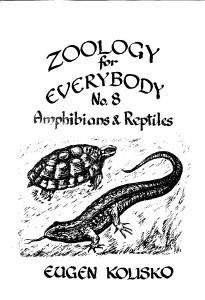 Zoology for Everybody No 8  Amphibians & Reptiles